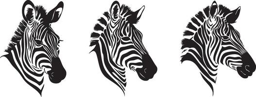 Zebra Head Sketch for Unique Animal Illustrations vector