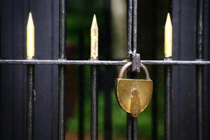 Golden padlock on an old fence gate photo