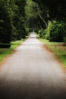 Long vista in the park cemetery Ohlsdorf in Hamburg photo