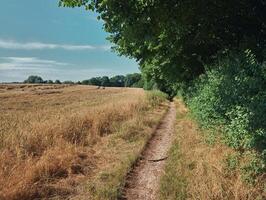 Path beneath a dry field in Mecklenburg-Vorpommern, Germany photo