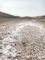 Close up of salt crystals at the sea photo