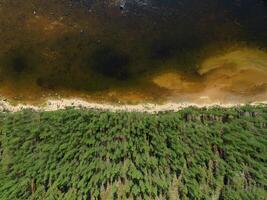 Downward aerial view on river side in Swedish Lapland photo
