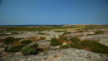 The nature reserve Hallon on an island near Smogen in Sweden photo