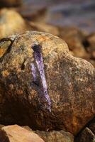 Purple bird dropping on a rock in sunlight photo