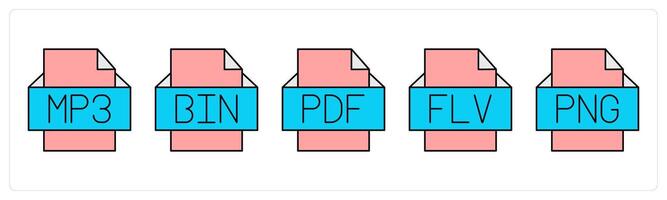 A set of files icons as mp3 file, bin file, pdf file vector