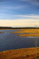 View over Vajsjoen nature reserve in northern Sweden photo