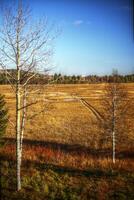 View over Vajsjoen nature reserve in northern Sweden photo