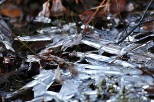 Close up of frozen ice structures in the beginning of winter photo
