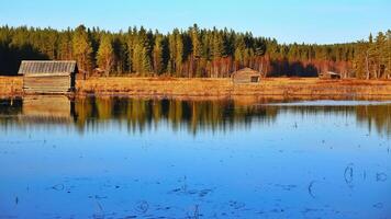 Autumn at Svansele Dammangar nature reserve in Sweden photo
