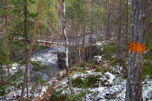Rough terrain with a marked path in Mala-Storforsens nature reserve in Sweden photo