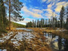 Mala riverside in Mala-Storforsens nature reserve in Sweden photo