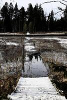 High contrast shot of sunken bridge over mire in northern Sweden photo