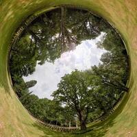 Unusual rabbit hole panorama of park cemetery Ohlsdorf in Hamburg photo