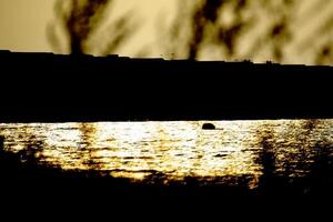 Conceptual high contrast shot of row of houses at the Baltic Sea photo