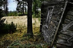 Broken and weathered house in northern Sweden photo
