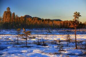 View over nature reserve Vithattsmyrarna and Mount Vithatten in northern Sweden photo