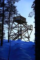 Backlit shot of lookout tower in Swedish forest photo