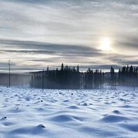 Winter wasteland on a misty day in Lapland photo