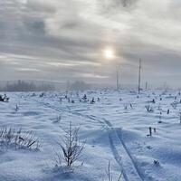 Ski tracks in winter wasteland on a misty day in Lapland photo