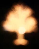 Defocused tree shaped lights in christmas time photo
