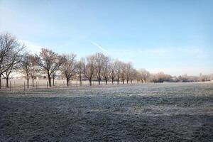 German field on a frosty winter morning photo