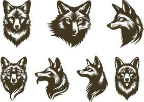 Jackal Face for Carnivore and Wildlife Projects vector