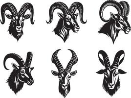 Ibex Head Design for Wilderness and Wildlife Art vector