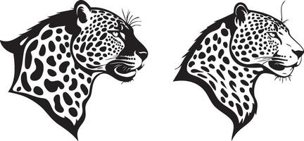 Jaguar Face for Jungle Predator Designs vector