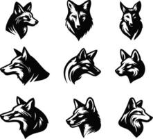 Wild Dog Head for Carnivore-Themed Graphics vector