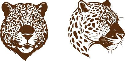 Big Cat Head Design for Jungle Wildlife Illustrations vector