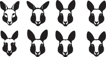 Australian Wildlife Illustration for Nature Projects vector