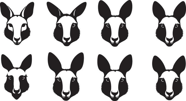 Australian Wildlife Illustration for Nature Projects