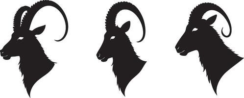 Ibex Head Design for Wilderness and Wildlife Art vector