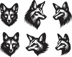 Scavenger Jackal Face for Nature and Predator Designs vector