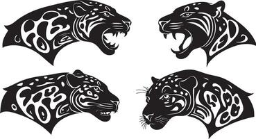 Wild Jaguar Graphic for Big Cat Branding vector