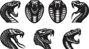 Snake Motif Art for Jungle-Themed Designs vector