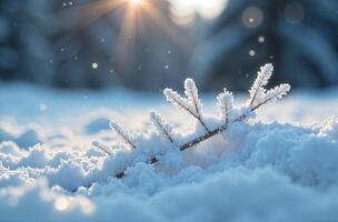 Snow texture close up, winter macro shot of handsome snowdrift photo
