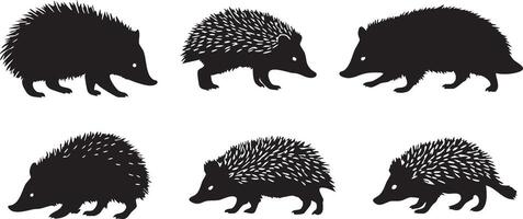 Wild Rodent Hedgehog for Nature-Themed Illustrations vector