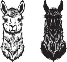 Cultural Symbol of the Andes Featuring a Llama vector