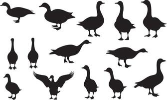 Elegant Goose Design for Outdoor Wildlife Creations vector