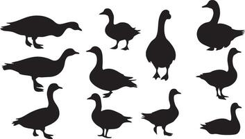 Graceful Goose Illustration for Bird-Themed Art vector