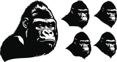 Strong Gorilla Head for Rustic Wildlife Art vector
