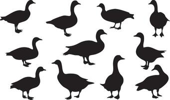Wild Goose Silhouette for Nature-Inspired Artwork vector