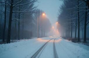A road nice in the forest in winter in the snow, Christmas trees stand along the street, snowfall photo