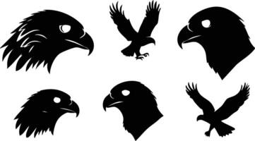 Predatory Bird Profile for Bird-Themed Artwork vector