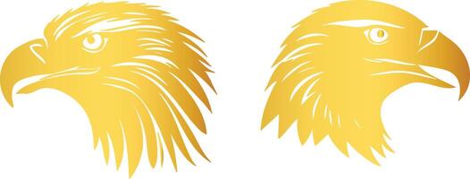 Majestic Golden Eagle Artwork for Bird Enthusiasts vector