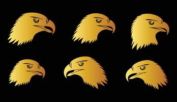 Fierce Golden Hawk Profile for Nature-Inspired Illustrations vector