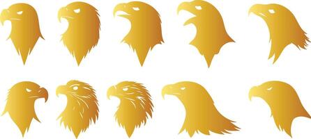 Powerful Golden Eagle Head for Wildlife Branding vector