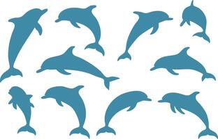 Dolphin Silhouette for Marine Wildlife Art vector