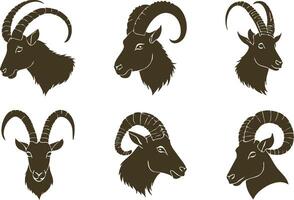 Ibex Art for Horned Animal and Wilderness Designs vector